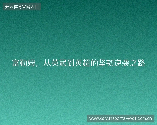 富勒姆，从英冠到英超的坚韧逆袭之路